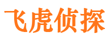 富宁市侦探调查公司